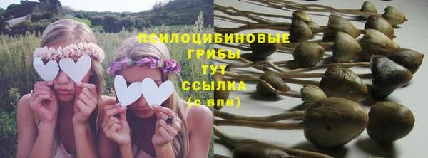 не бодяженный Абаза